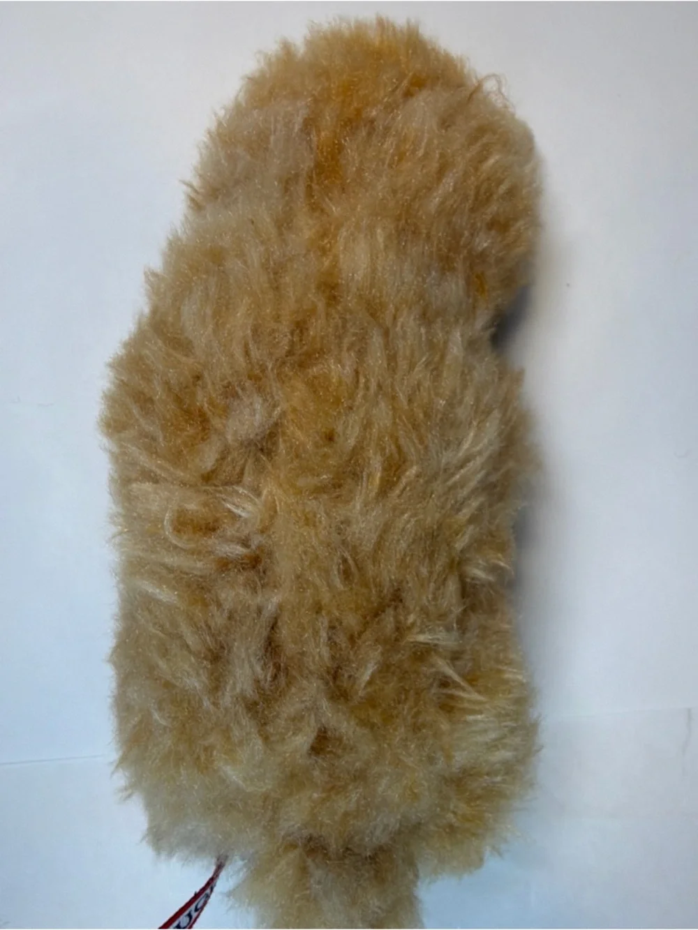 Douglas rare alpaca